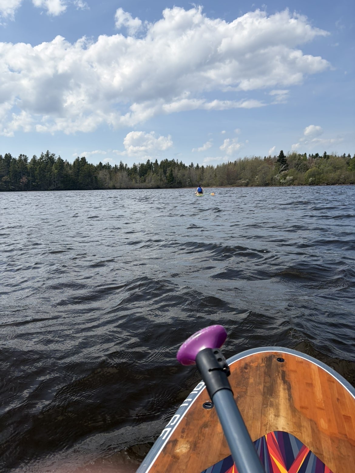 View from a paddleboard on Silver Lake