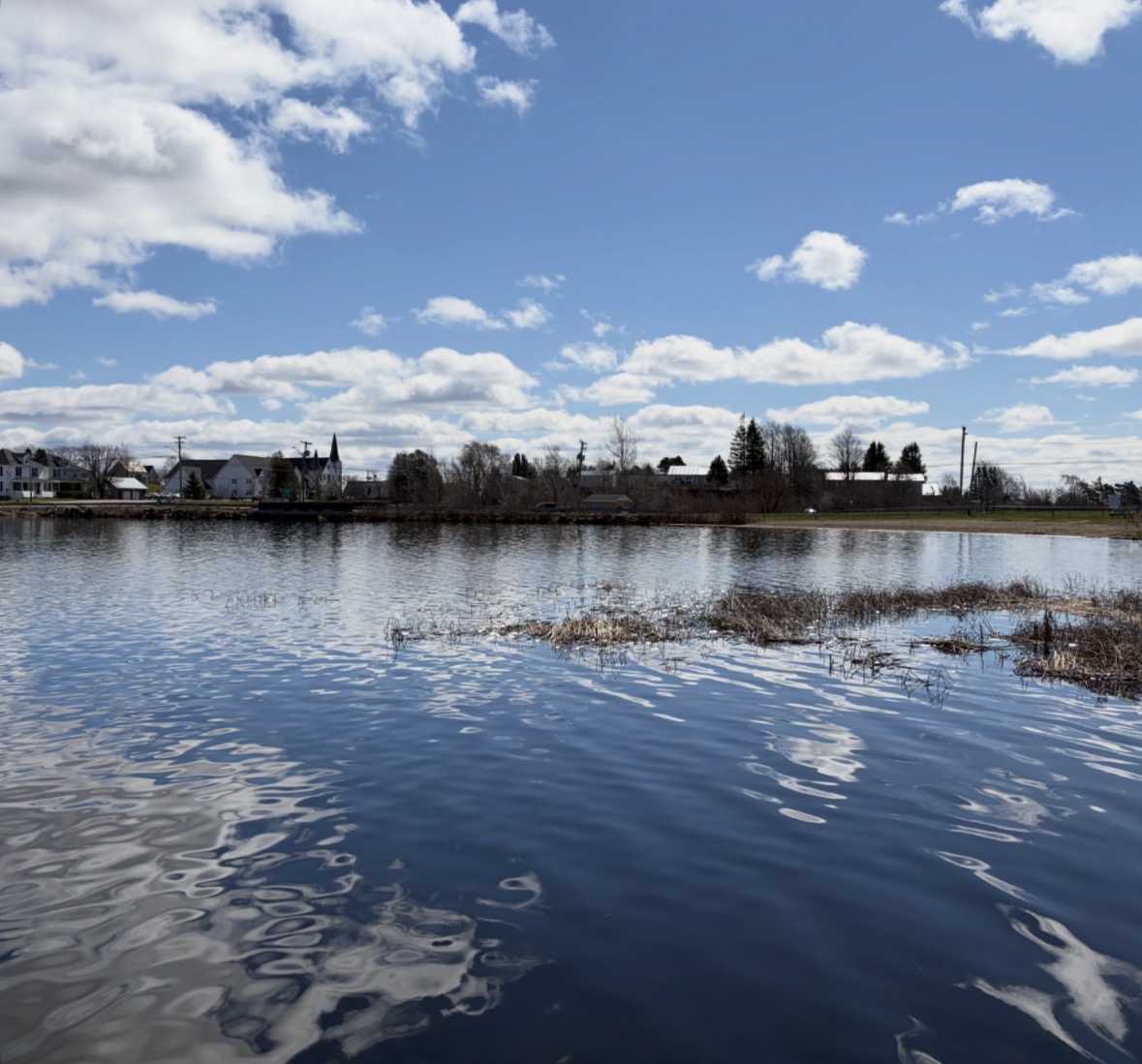 Silver Lake view