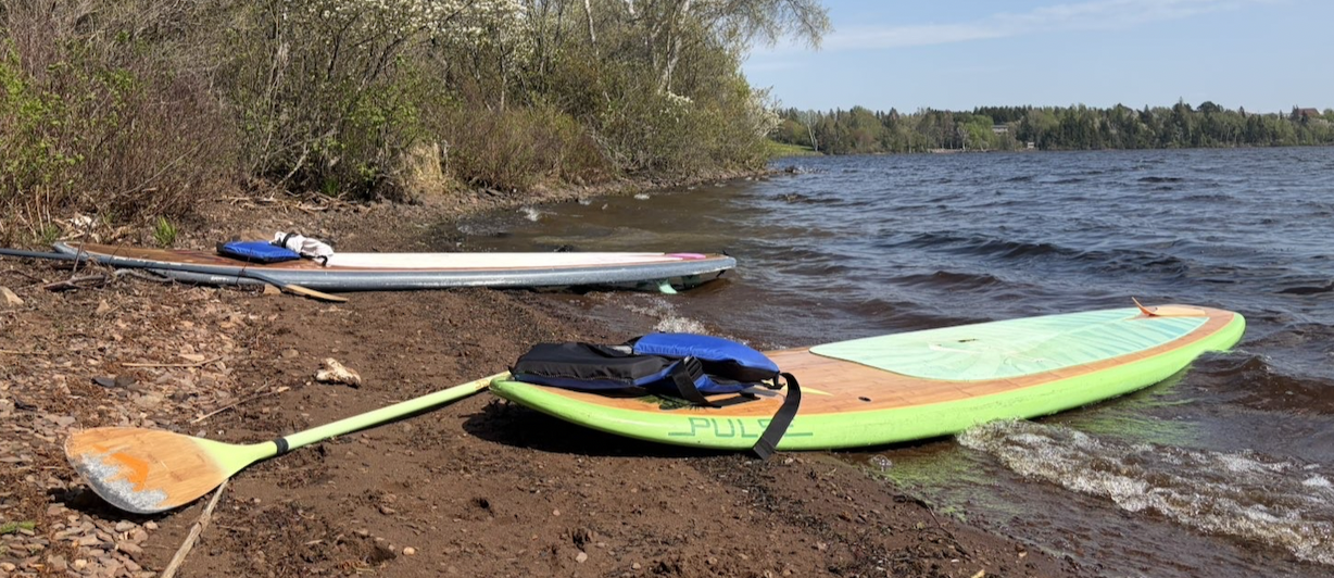 Paddleboards on the shore